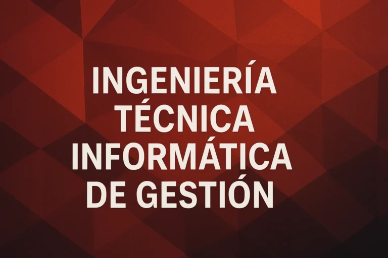 Ingeniería técnica informática de gestión
