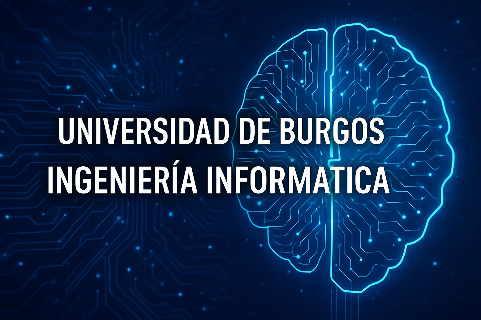 Universidad de Burgos Ingeniería Informática